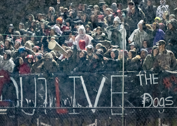 DIANNA OATRIDGE | THE VINDICATOR  The Canfield student section braves the rainy conditions to cheer on their team in Battle of 224 between Poland and Canfield at Bob Dove Field in Canfield on Friday.