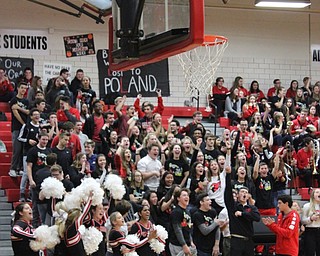 Neighbors | Abby Slanker.Members of the Canfield High School senior class cheered on their fellow classmates during the school’s pep rally on Oct. 26.