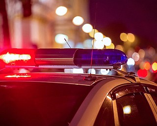 Mark J. Donaldson of Farmdale was sentenced by Judge Thomas Campbell to 33 days in the Trumbull County jail after pleading guilty to vehicular manslaughter, OVI and marijuana possession. Marye Urey of Howland was killed in a head-on May 8, 2017, crash in Bazetta Township. Donaldson told troopers with the Ohio State Highway Patrol that he did not remember crossing the center line or the crash, but he admitted that he smoked marijuana the night before to help him sleep.