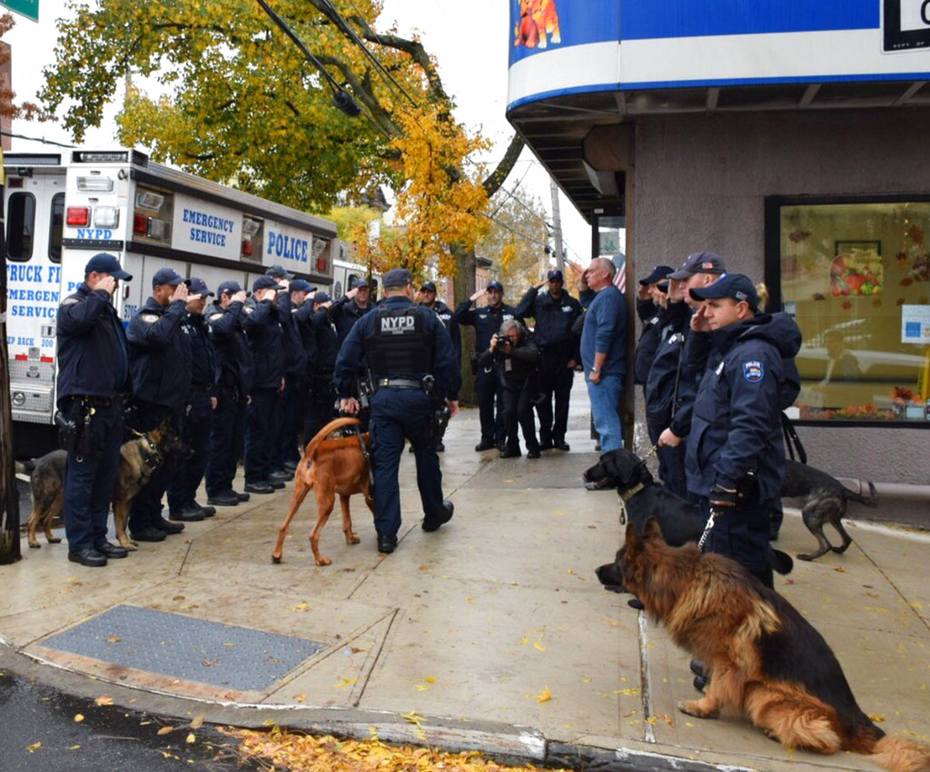 In this Nov. 5, 2018, photo, provided by the New York City Police Department an honor guard of police officers salute as Angel, a 5-year-old bloodhound, is walked by her human partner, Officer Manuel Orellana, into Staten Island's Rosebank Animal Hospital to be euthanized, in New York. An aviation flyover also honored the Emergency Services K-9 just before she died after being diagnosed with cancer in August.