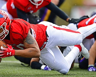 YOUNGSTOWN, OHIO - NOVEMBER 11, 2018: Youngstown State's Shereif Bynum falls on the loose ball to recover the fumble during the first half of their game, Saturday afternoon at Stambaugh Stadium. DAVID DERMER | THE VINDICATOR