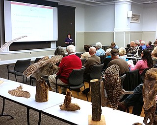 The Certified Volunteer Naturalist Program begins with about 40 hours of classroom and field instruction. Training topics including birds, mammals, forests, stewardship, geology and much more. Classes take place at the OSU Extension Office in Canfield, along with partner sites across the Mahoning Valley at various nature centers and natural areas.