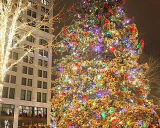 People watch as the tree lights up during the tree-lighting ceremony on Friday night. EMILY MATTHEWS | EMILY MATTHEWS