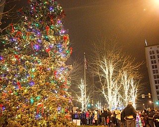 People watch as the tree lights up during the tree-lighting ceremony on Friday night. EMILY MATTHEWS | EMILY MATTHEWS