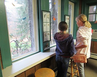 Neighbors | Jessica Harker.Juliette Steinbeck and Tiffany Tudor looked through Ford Nature Center for 20 hidden turkeys with fun facts about the birds Nov. 24.