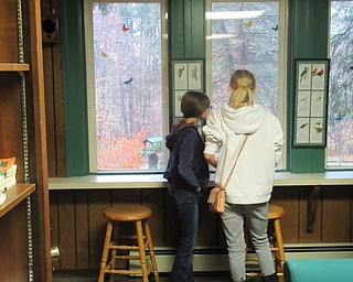 Neighbors | Jessica Harker.Juliette Steinbeck and Tiffany Tudor participated in the Turkey Scavenger Hunt at Ford Nature Center Nov. 24.