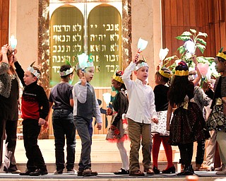 Second graders from Akiva Academy dance to the Maccabee Song during their Hanukkah program at Congregation Rodef Sholom on Thursday evening. EMILY MATTHEWS | THE VINDICATOR