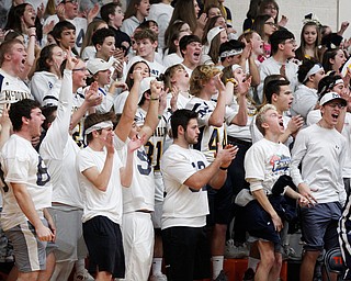 McDonald's student section cheers during their game against Springfield at Springfield on Friday night. EMILY MATTHEWS | THE VINDICATOR