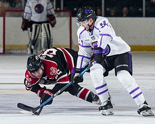 Scott R. Galvin | The Vindicator.Youngstown Phantoms defenseman Thomas Farrell (11) battles with Chicago Steel forward Josh Groll (25) for the puck during the second period at the Covelli Centre on Saturday, Dec. 15, 2018.