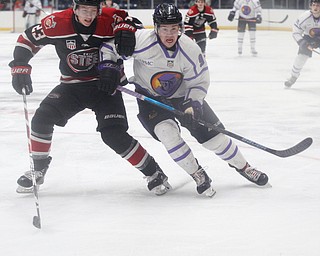 The Phantoms' Connor MacEachern and Chicago Steel's Jake Schmaltz go after the puck during their game at Covelli Centre on Sunday night. EMILY MATTHEWS | THE VINDICATOR