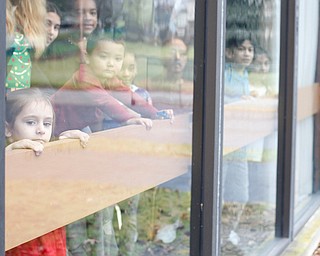 Abby Mannion, 4, left, and Mayson Hood, 2, both of Campbell, look out the window with other kids as they wait for Santa to arrive during Campbell's annual Lunch with Santa at St. Lucy Palermo Hall on Sunday afternoon. EMILY MATTHEWS | THE VINDICATOR