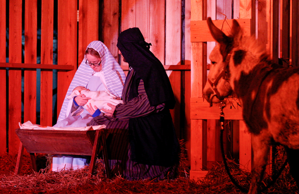 Mary, portrayed by Rachael Lanham, Joseph, portrayed by Brice Harris, hold their baby Jesus while Fancy Pants the donkey, from Felger Exotics, watches them during the Live Nativity at Zion Lutheran Church in Cornersburg on Sunday evening. EMILY MATTHEWS | THE VINDICATOR