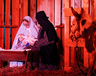 Mary, portrayed by Rachael Lanham, Joseph, portrayed by Brice Harris, hold their baby Jesus while Fancy Pants the donkey, from Felger Exotics, watches them during the Live Nativity at Zion Lutheran Church in Cornersburg on Sunday evening. EMILY MATTHEWS | THE VINDICATOR