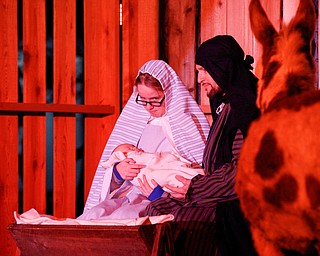 Mary, portrayed by Rachael Lanham, Joseph, portrayed by Brice Harris, hold their baby Jesus while Fancy Pants the donkey, from Felger Exotics, watches them during the Live Nativity at Zion Lutheran Church in Cornersburg on Sunday evening. EMILY MATTHEWS | THE VINDICATOR