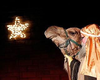 Dwayne Felger, of Greenford, walks Meshach the camel onto the scene of the Live Nativity at Zion Lutheran Church in Cornersburg on Sunday evening. EMILY MATTHEWS | THE VINDICATOR