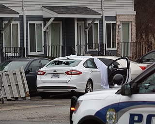 The Niles Police Department has confirmed that Niles police officers shot a man to death at the Royal Mall apartments off of state Route 46 on Wednesday afternoon.  The man’s body remained in a white car that apparently belonged to him, witnesses said.  The Ohio Bureau of Criminal Investigation is handling the investigation.
