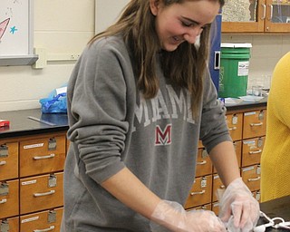 Neighbors | Abby Slanker.Canfield High School chemistry student Sydney Kinkade rolled out her Variegated Disaccharide “J” Tube, also known as a candy cane, in chemistry class on Dec. 18.