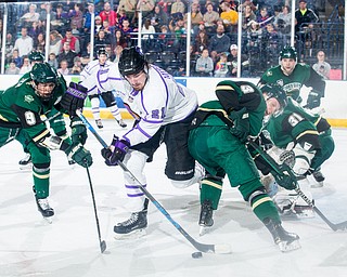 Scott R. Galvin | The Vindicator.Youngstown Phantoms forward Brett Murray (21) reaches for a rebound between Sioux City Musketeers forward Matt Miller (9) and defenseman Luke Johnson (3) during the first period at the Covelli Centre on Saturday, January 5, 2019.