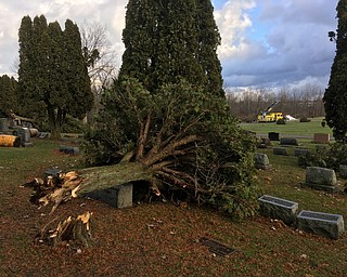 .This Is Hillside cemetery in Bazetta township just east of mosquito lake where about 10 trees were filled in a cemetery storage building was destroyed this morning in Highwinds. On the west side of the lake there was also similar damage reported on Bazetta Road at Everett hull road..Sent from my iPhone