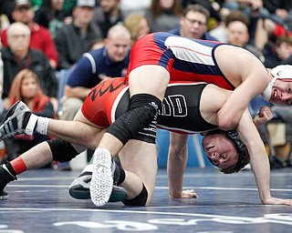 Austintown Fitch's Zach Richards, top, and Girard's Alex Delgarbino wrestle during the EOWL wrestling finals at Austintown Fitch High School on Saturday afternoon. Richards placed first in the 132 weight class. EMILY MATTHEWS | THE VINDICATOR