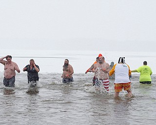 People participate in the Annual Polar Plunge in Mosquito Lake in Cortland on Saturday. EMILY MATTHEWS | THE VINDICATOR