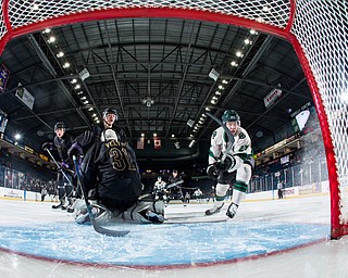 Scott R. Galvin | The Vindicator.Cedar Rapids RoughRiders forward Liam Walsh (27) shoots the puck past Youngstown Phantoms goalie Chad Veltri (31) during the first period at the Covelli Centre on Saturday, January 19, 2019.  The Phantoms lost 4-2.