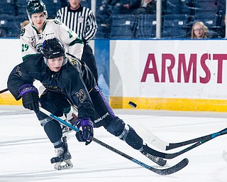 Scott R. Galvin | The Vindicator.Youngstown Phantoms forward Arsenii Smekhnov (20) goes for a loose puck against the Cedar Rapids RoughRiders during the second period at the Covelli Centre on Saturday, January 19, 2019.  The Phantoms lost 4-2.