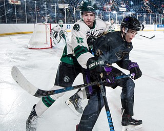 Scott R. Galvin | The Vindicator.Youngstown Phantoms forward Liam Robertson (92) skates into the corner along with Cedar Rapids RoughRiders defenseman Jack Millar (15) for the puck during the third period at the Covelli Centre on Saturday, January 19, 2019.  The Phantoms lost 4-2.