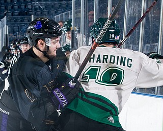 Scott R. Galvin | The Vindicator.Youngstown Phantoms forward Dalton Messina (14) pushes Cedar Rapids RoughRiders forward Jerry Harding (19) into the board during the third period at the Covelli Centre on Saturday, January 19, 2019.  The Phantoms lost 4-2.