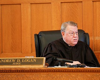 Judge Andrew Logan gives the jury instructions during Claudia Hoerig's trial on Thursday. EMILY MATTHEWS | THE VINDICATOR