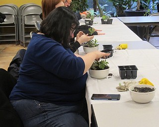 Neighbors | Jessica Harker.Community members gathered at Fellows Riverside Garden Jan. 19 to participate in the Succulent Dish Arrangment event.