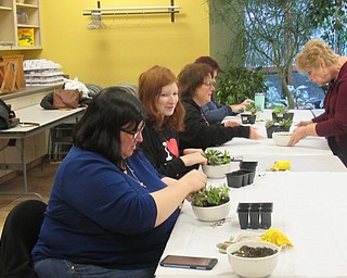 Neighbors | Jessica Harker.Community members gathered at Fellows Riverside Garden Jan. 19 where instructor Judy Stanislaw demonstrated how to aesthetically arrange succulents in a dish.
