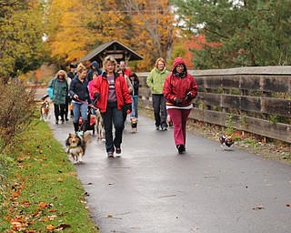 Neighbors | Submitted.Pets dressed up in Halloween costumes for the Metro Mutts Halloween hike in 2018. The group hosts walks and special events throughout the year.