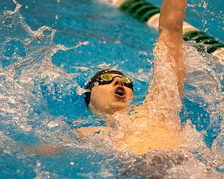 Connor Fritz of Canfield competes in the 100-yard backstroke at the Division II district swim meet