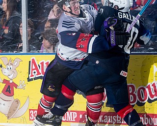 Scott R. Galvin | The Vindicator.Youngstown Phantoms forward Connor MacEachern (91) checks Team USA NTDP defenseman Owen Gallatin (40) into the boards during the second period at the Covelli Centre on Saturday, February 16, 2019.