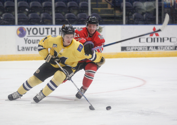 Phantoms'  Brett Murray tries to get the puck away from Lumberjacks' Nic Belpedio during their game in the Covelli Centre on Sunday night. EMILY MATTHEWS | THE VINDICATOR