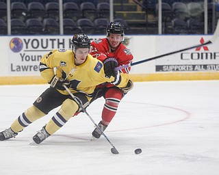 Phantoms'  Brett Murray tries to get the puck away from Lumberjacks' Nic Belpedio during their game in the Covelli Centre on Sunday night. EMILY MATTHEWS | THE VINDICATOR