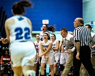 DIANNA OATRIDGE | THE VINDICATOR   The Poland bench erupts with excitement after the Lady Bulldogs take the lead in the first half of the Division II Regional Semi final in Barberton on Tuesday.