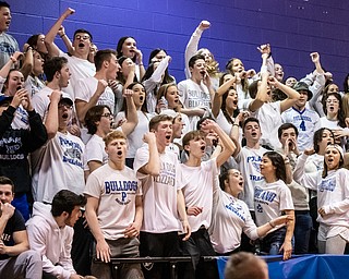 DIANNA OATRIDGE | THE VINDICATOR  The Poland student section cheers on the Lady Bulldogs during the Division II Regional Semi final in Barberton on Tuesday.