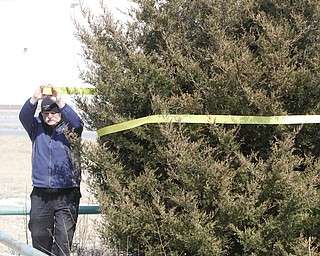  ROBERT K.YOSAY  | THE VINDICATOR..Werner Lange, the guy who held the 43 day vigil outside the plant, is having an outdoor tribute to women workers and a Òprotest against the gross injustice of idling of this plant.Ó..Werner Lange  places a yellow ribbon around the evergreen as he walks around the grre