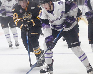 Phantoms' Aiden Gallacher tries to keep the puck from Gamblers' Ryan O'Reilly during their game at Covelli Centre on Saturday night. EMILY MATTHEWS | THE VINDICATOR