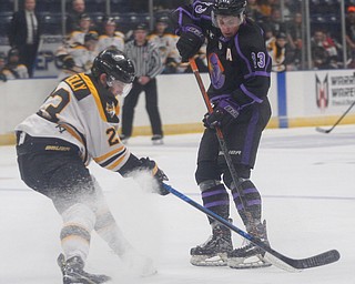 The Phantoms' Gianfranco Cassaro and the Gamblers' Ryan O'Reilly battle for the puck during their game in Covelli Centre on Sunday. EMILY MATTHEWS | THE VINDICATOR