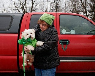 Norma Goodhart, of Boardman, holds her Maltese Snowball before the start of the Mahoning Valley St. Patrick's Day Parade in Boardman on Sunday afternoon. EMILY MATTHEWS | THE VINDICATOR