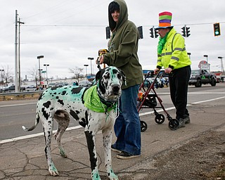 Amber Cribbs, of New Castle, walks her Great Dane Duncan, whom she dyed green with food coloring, with Randy Pope, right, of Pulaski, Pa., at the end of the Mahoning Valley St. Patrick's Day Parade in Boardman on Sunday afternoon. EMILY MATTHEWS | THE VINDICATOR