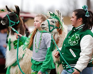 Luciana Vigliotti, of Lowellville, left, and Sam Colonna, of Struthers, walk with llamas Sparky, left, and Redbull as part of the 4-H Club's Lucky Llamas in the Mahoning Valley St. Patrick's Day Parade in Boardman on Sunday afternoon. EMILY MATTHEWS | THE VINDICATOR