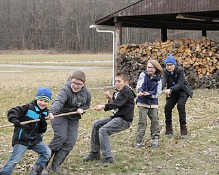 Neighbors | Submitted.Scouts from Austintown Cub Scout Pack 184 practiced team-building skills in a match of tug-of-war during the Freeze Out event on March 9. Pictured, from left, are Cohen Phillips, Tyler Brown, Chris Baytos, Sonia DiBlasio and Carson Kerens.