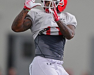 YOUNGSTOWN, OHIO - MARCH 30, 2019: Youngstown State's Jermiah Braswell catches a pass in stride during Saturday afternoon's spring scrimmage at the Watson and Tressel Training Facility. DAVID DERMER | THE VINDICATOR