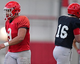 YOUNGSTOWN, OHIO - MARCH 30, 2019: Youngstown State's Antoine Cook walks after a sack of Mitch Davidson during Saturday afternoon's spring scrimmage at the Watson and Tressel Training Facility. DAVID DERMER | THE VINDICATOR