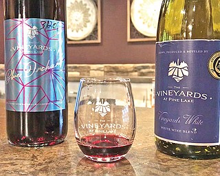 The Vineyards at Pine Lake grew from family hobby into a winery and event center, offering house-made wines and seasonal food menu.