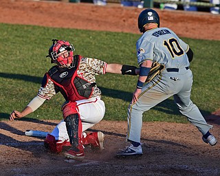 YSU KSU BASEBALL